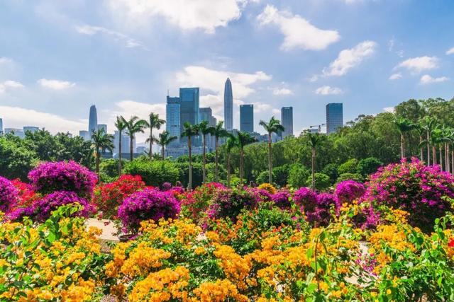 挤爆了！今天莲花山都是人人人，网友：感觉全深圳都来了！