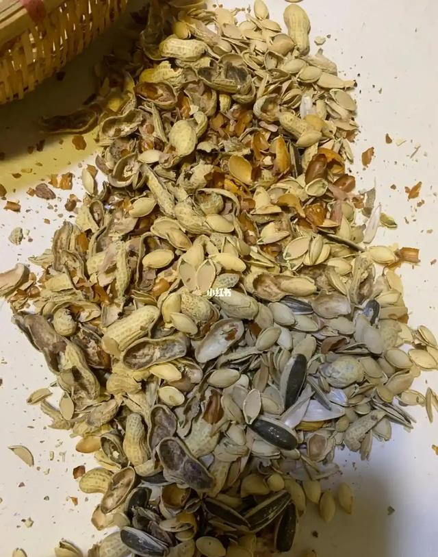 不起眼的废东西别扔！埋进花盆里，花蹭蹭长，比施肥猛10倍