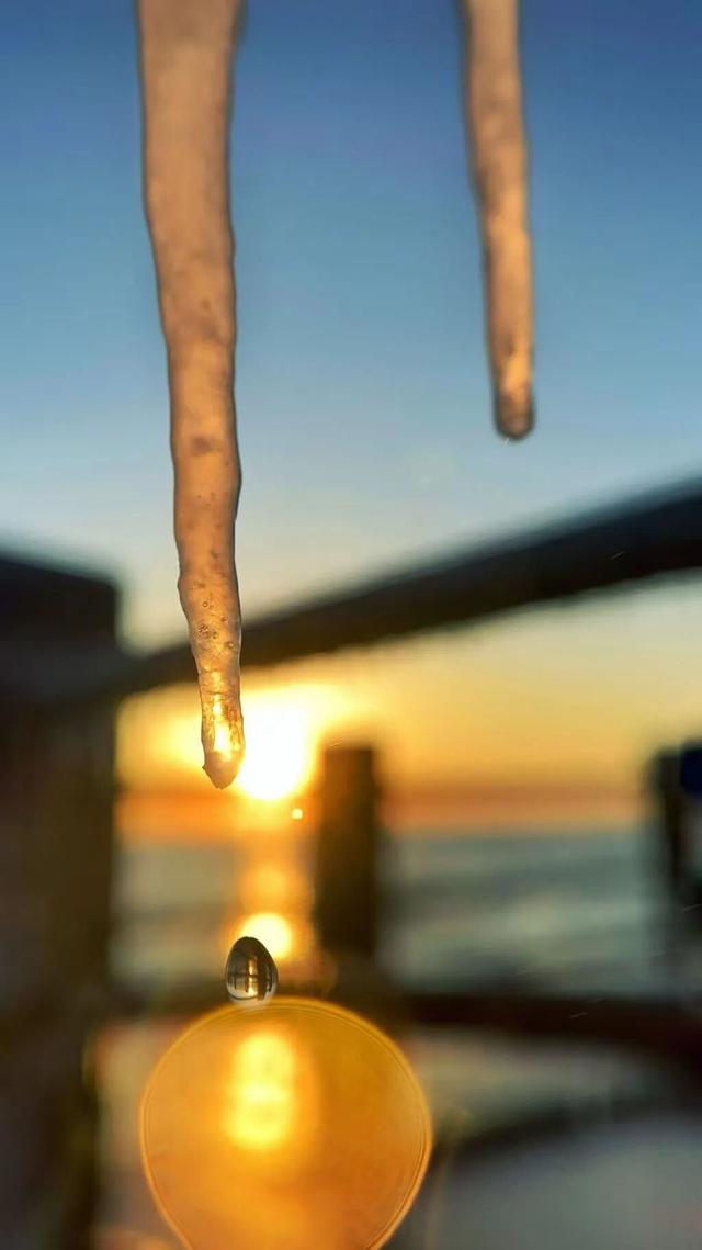 很多人没见过！在日照海边绵延数公里……