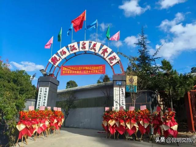 别再问昆明哪里能摘草莓了!收下这份采摘地图,直接抄作业→