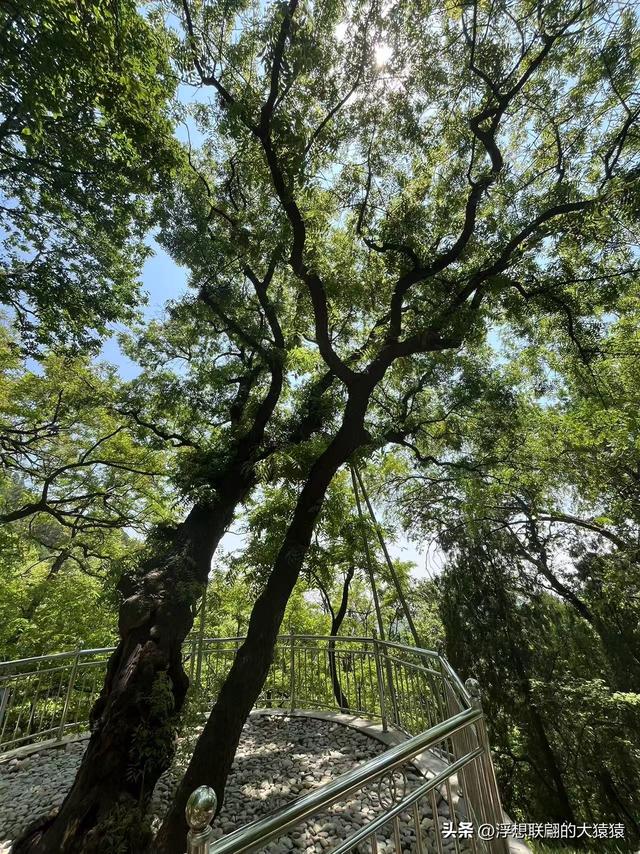 这回去莱芜爬山，目的地：永宁崮，却误打误撞又进了大舟院