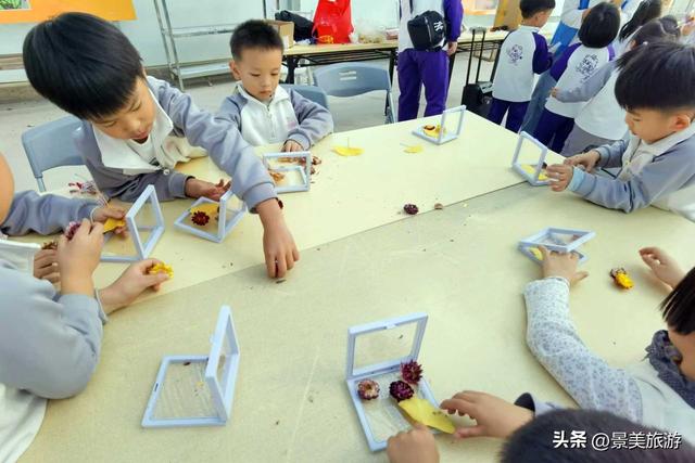 岭南冬如春，童趣蝶翩跹，学子来到佛山卡玛花世界开启蝴蝶研学