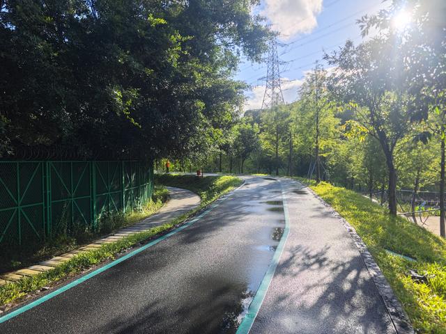 西丽湖绿道，慢慢骑慢慢地欣赏。