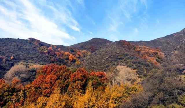 在这座高山之巅，尹志平吟了首什么诗？