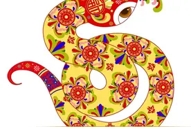 十二生肖代表什么？其中有六阴六阳图片