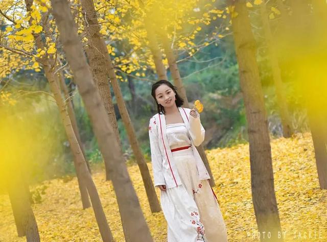 速进！国庆潼关旅游线路来了→季节特色游线