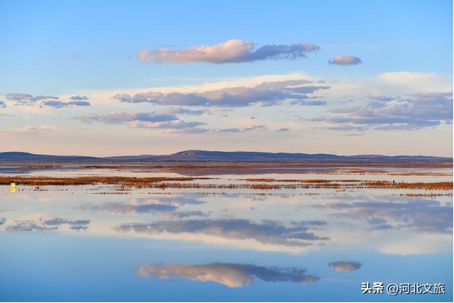 走进张家口，感受秋日红海滩的浪漫与诗意，还有各种鸟儿翩翩起舞