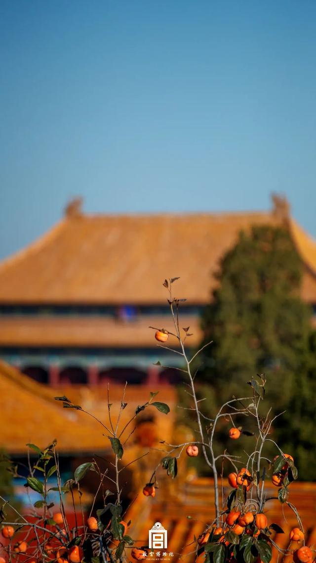 故宫四季美景一览，震撼高清美图预警！