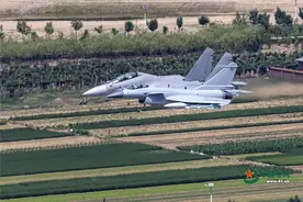 歼16战机有多大？与歼10C同框才明白，为何能称炸弹卡车图片