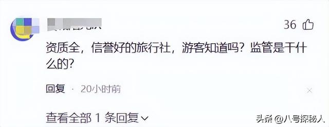 129人云南旅游被甩服务区6小时，原因曝光，官方通报处理结果来了