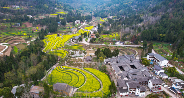 官宣！2026川渝春晚唯一分会场，花落云阳！