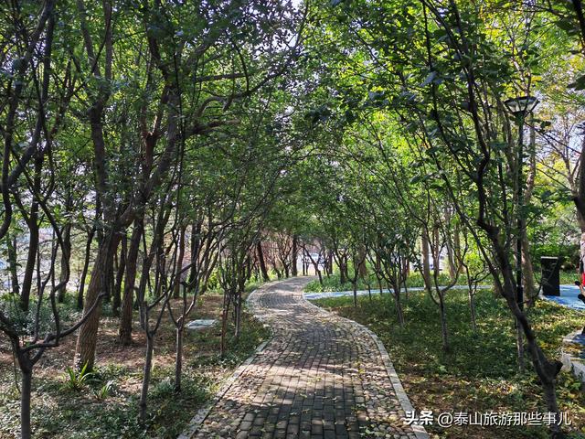 泰安：环山路一个“口袋”公园，藏着名泉秘密，对面有个神奇景观