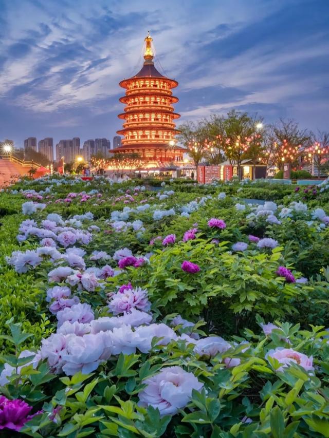 苏州没想到，杭州也没想到，如今的中国洛阳，已成为顶流热地