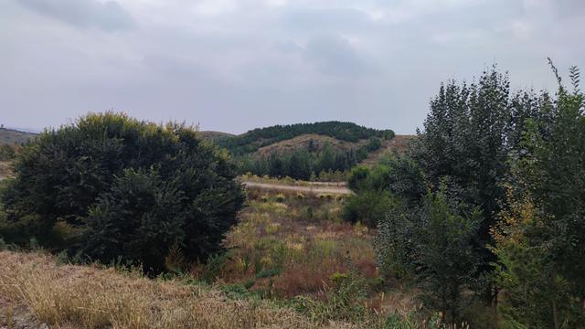 闲逛包头大青山南坡笸箩铺景点，去时一人，景区也一人，有点荒野