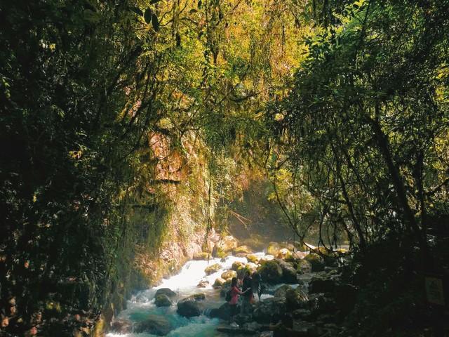 彩林、银杏、红叶...成都周边最值得去的8个景点