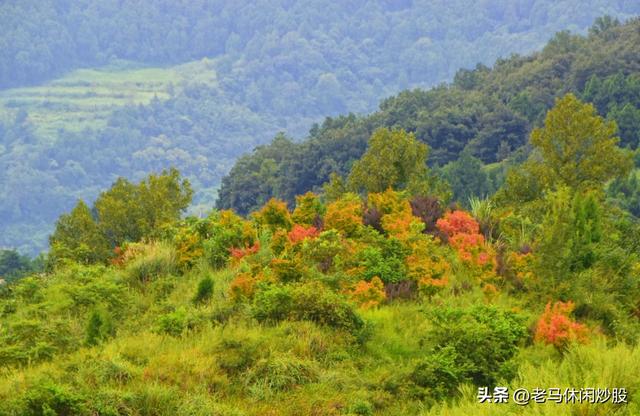 龚家山观景平台——城市森林公园可观日出日落、360度的观景平台