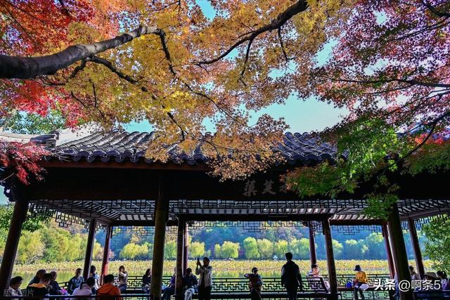 杭州西湖的景色还不错！