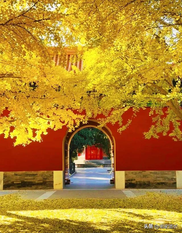 老舍先生说过：北平之秋是天堂，北京的秋藏着最动人的美