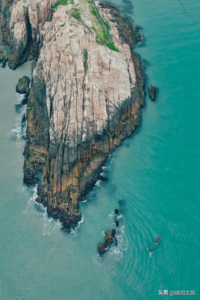 冬日寡淡？NO！看，花鸟岛的缤纷藏不住啦！