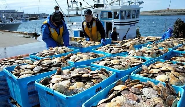 高市还没道歉，中日又出现新争端，日本通知中国，必须解释一件事