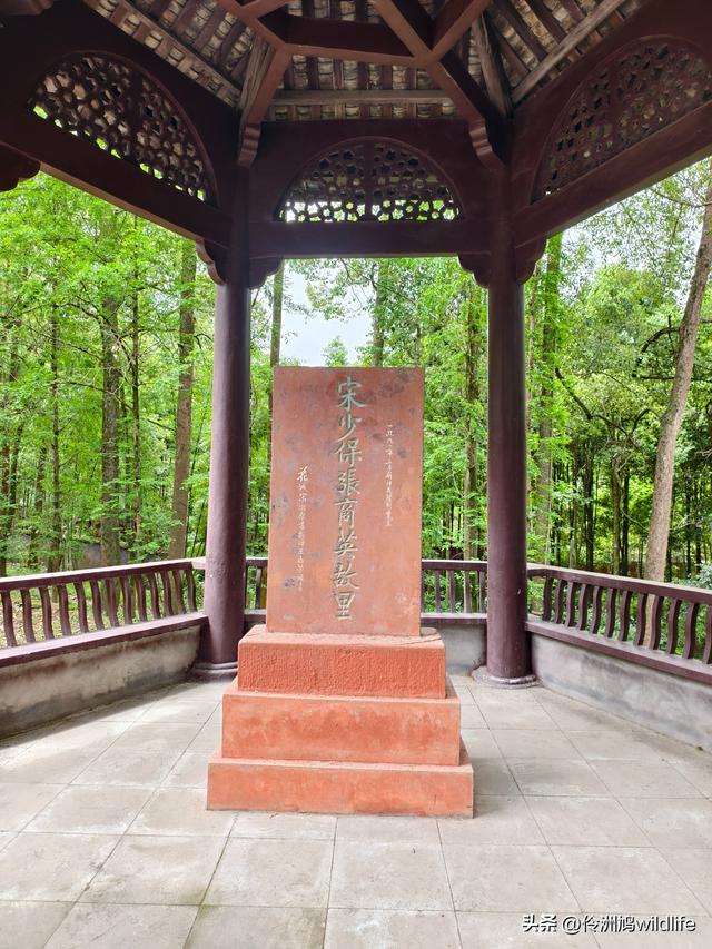 成都徒步（64）·新津篇③观音寺