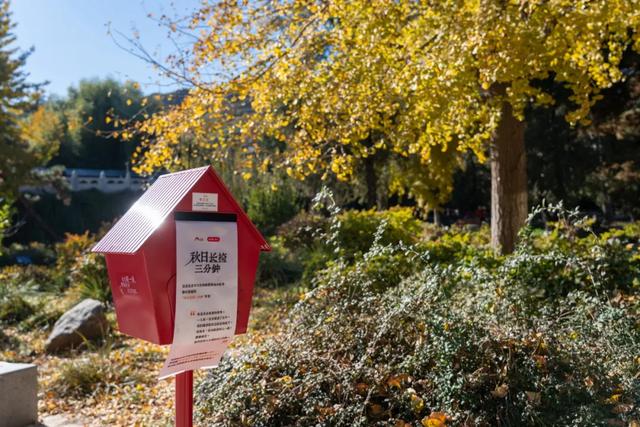 收藏一个秋天，石景山绝美秋色大公开