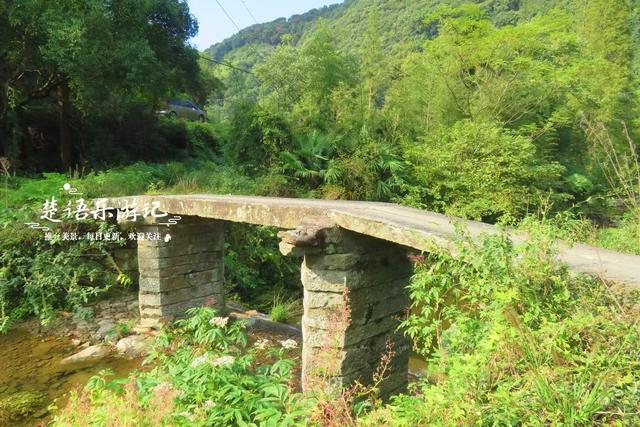 浙江宁波这处“仙境”也在升级改造，丛林茶座很美丽，是休闲胜地