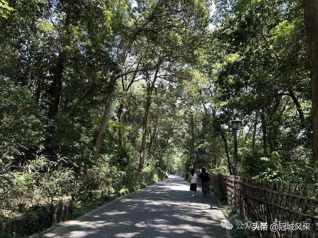 杭州印象·灵隐飞来峰
