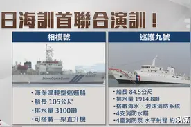 日台联合训练坐实台湾“叛乱政权”，蔡正元针对“禁书”继续撒谎图片