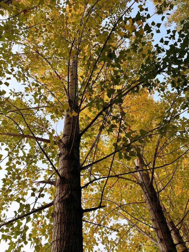 去公园，寻找城市的“书签”