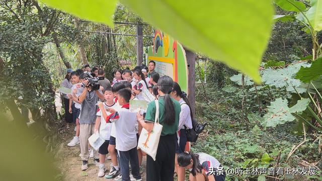北流容心谷“探索自然之美，传诵诗韵风雅”主题研学活动广受好评