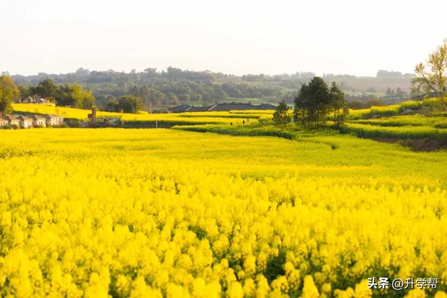 喜讯!瞿上田园正式获评国家3A级旅游景区!