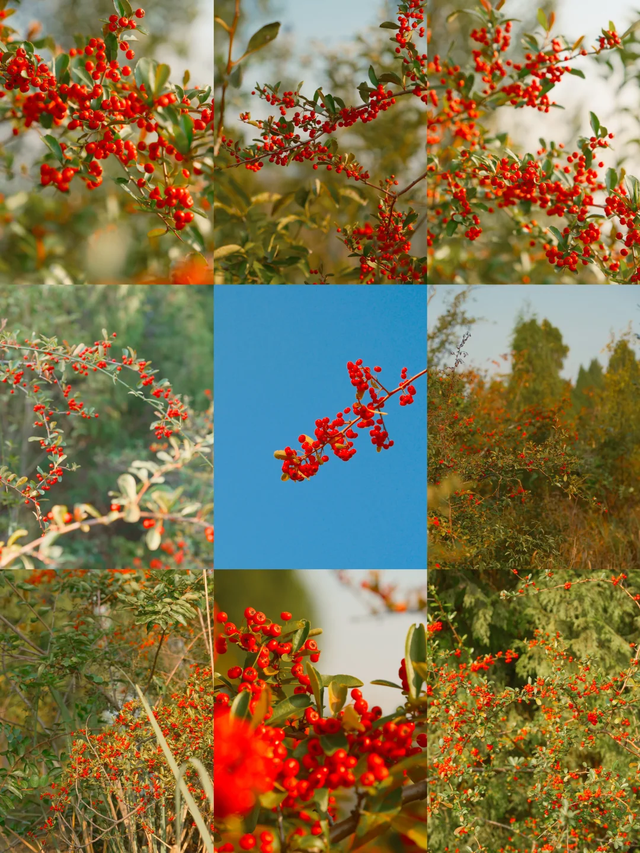 超美超震撼！舍不得公开的徒步秘境N0.1，就在成都金堂！