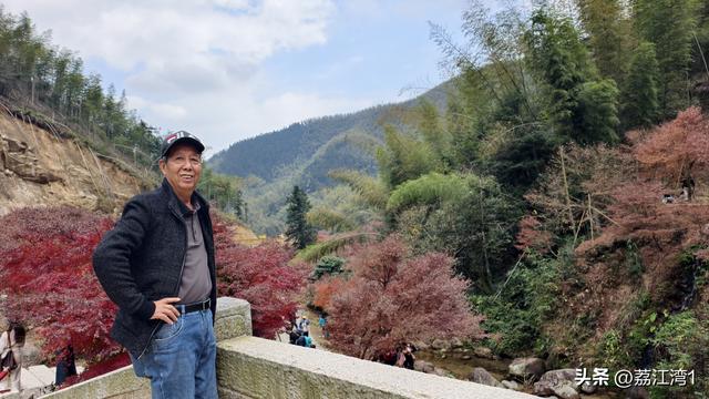 蓝山谷记：与十万株红枫的相遇