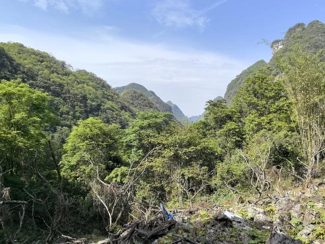 带小朋友去贵州茂兰,连环探洞加漏斗原始森林徒步二日游全攻略!