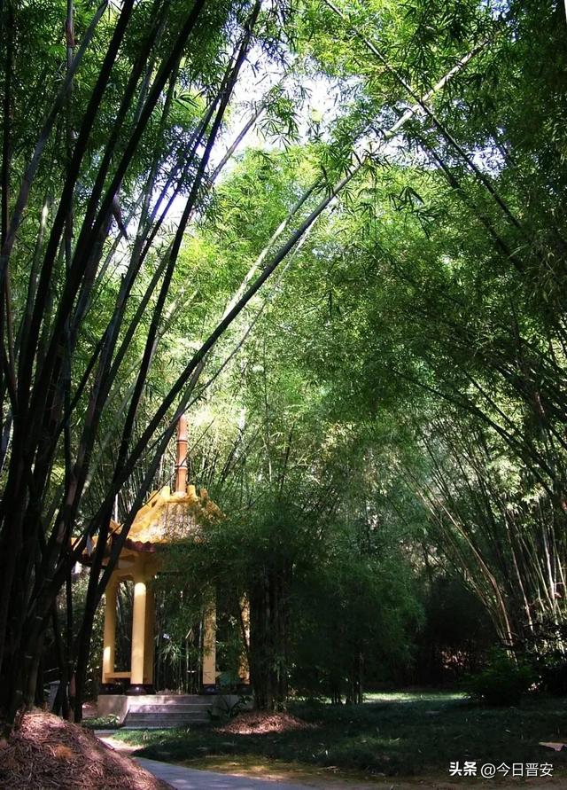 上新！晋安新十景来了！很多人赶去打卡