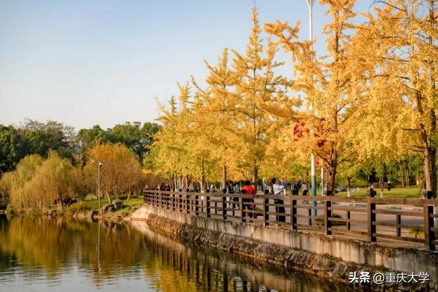 重大限定皮肤上新,超出片!🤳