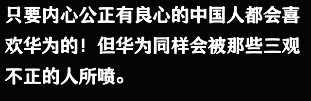 为什么现在这么多人讨厌华为？网友：堵住别人的嘴，只管吹捧