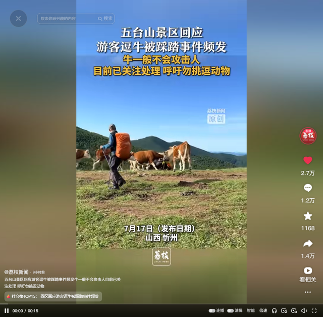 真相大白！男子遭牛群踩踏，不是因为挑逗，知情人透露 目标不是人