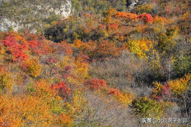 少有人知道的秋季徒步路线，还有太监墓