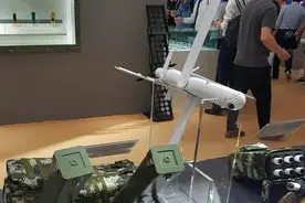 中国军工打造会飞的手榴弹，16公里内精准打击！成本不过500元？图片
