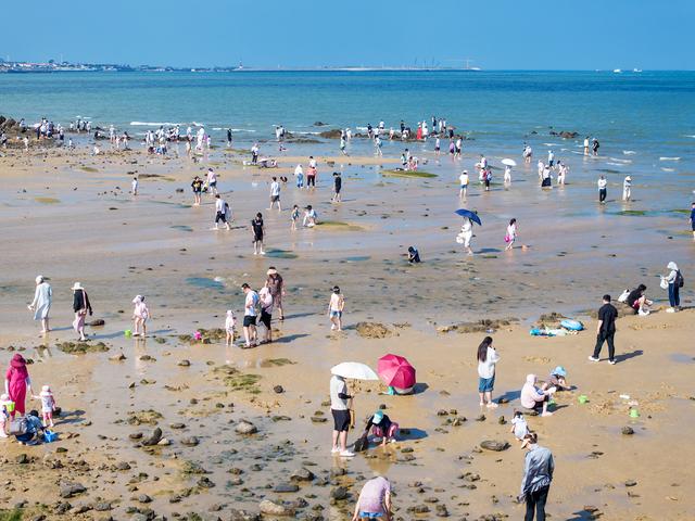 日照赶海的美妙