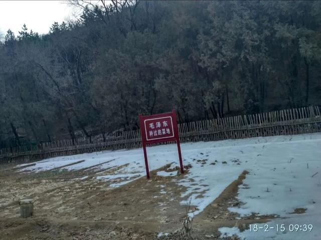 杨家岭的白面馍馍