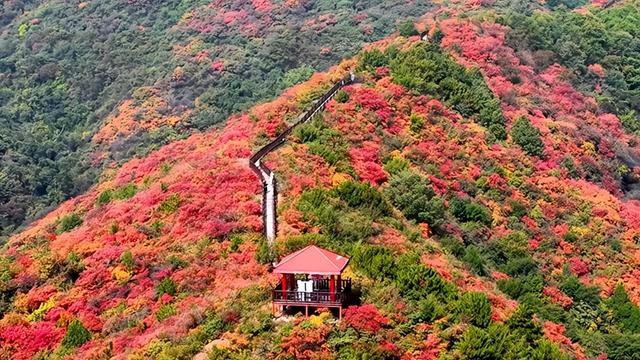 2025年11月10日 渭南文化旅游资讯微报（组图）