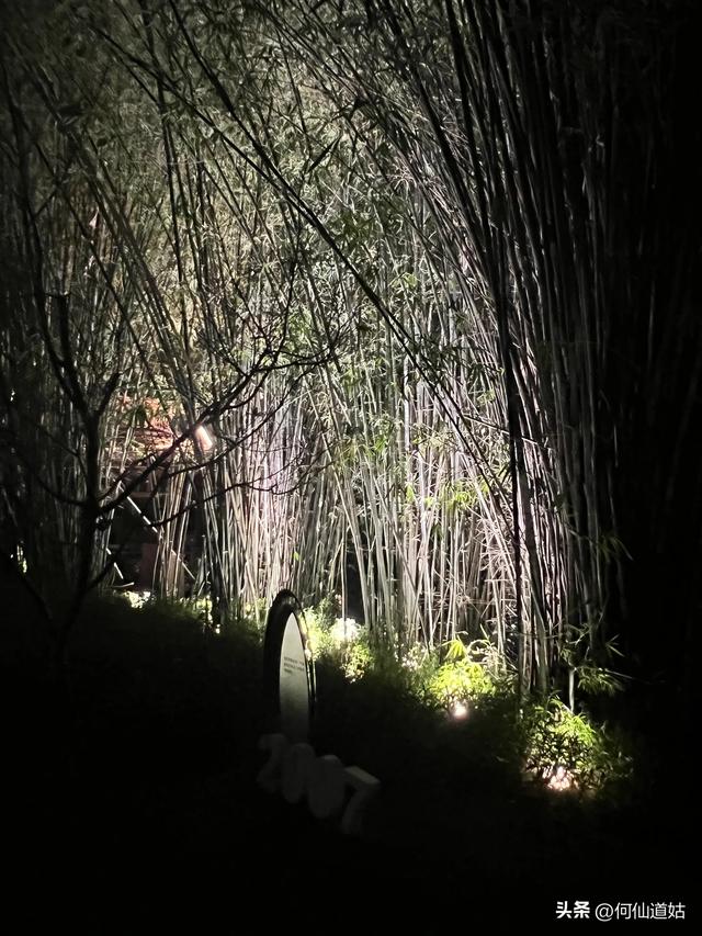 记水西路创业公园夜行