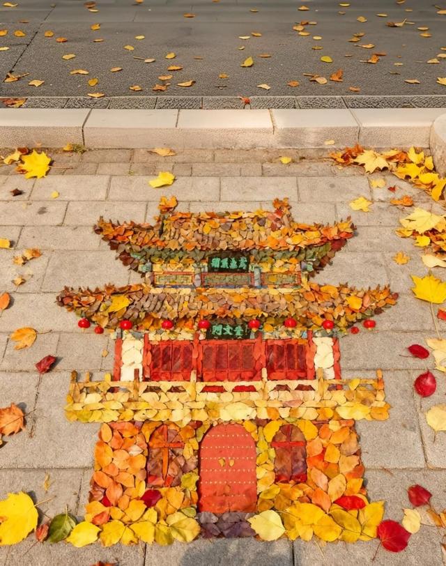 我捡，我捡，我在潍坊捡捡捡！