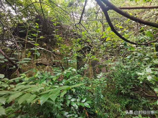 探寻龙眼山古寺遗址，一次最为艰难的野外探险之旅