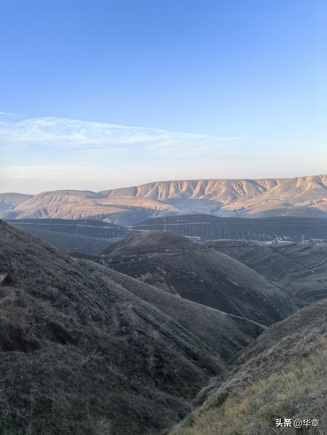 旱塬涅槃：张家塬乡，一座国家级农业主题公园的梦想