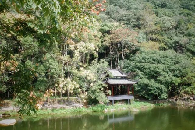 永远去不腻的目的地，她能排在前三名