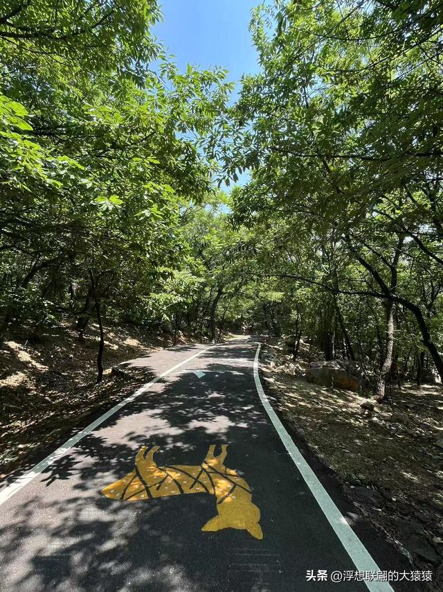 这回去莱芜爬山，目的地：永宁崮，却误打误撞又进了大舟院